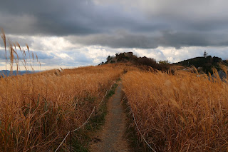 Oishi Kogen Highland