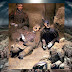 Φωτογραφία αποκαλύπτει τα πρωτότυπα φωτεινά χρώματα του Στρατού από Τερακότα στην Κίνα