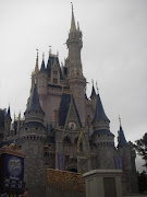 Cinderella's castle (Taken by me). I've been to Disney World half a dozen . (disneycastle)