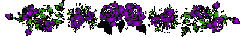 l3
