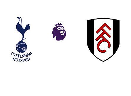 Tottenham vs Fulham (2-1) highlights video