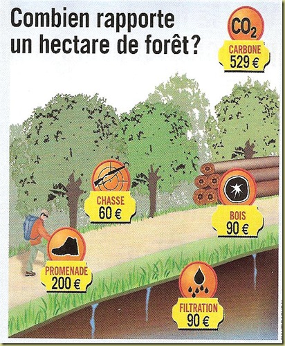 cbienRapp1hadeforêt