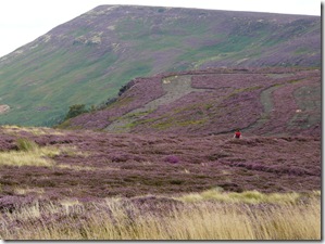 Heather - the splash of red is Carol
