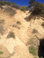 Short cut to Glendale Peak from the junction of Bridle Trail, Riverside Trail, and Vista Del Valle Drive, Griffith Park, Los Angeles, February 15, 2016