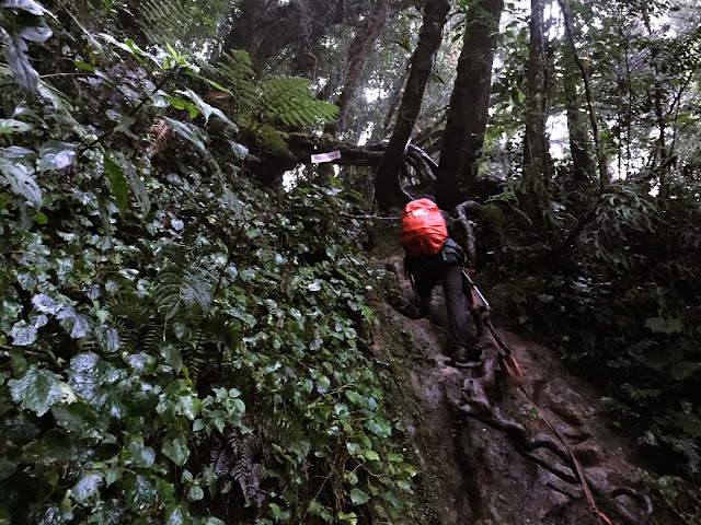 Solo Trip : Catatan Pendakian Gunung Dempo dari Jakarta