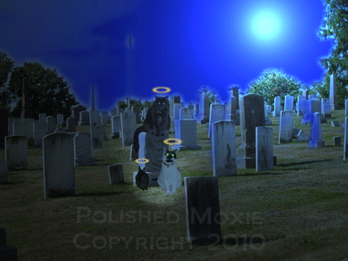 Picture of handmade pets in a darkened cemetery electronic card
