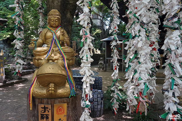 如意輪寺カエル寺、小郡市、福岡