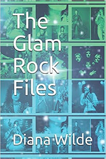 The Glam Rock Files by Diana Wilde Review The Best Year Of Our Lives Phil Andrews