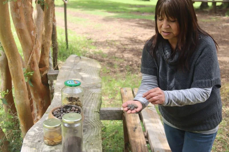 Turismo Rural en web de Reserva de Campings “Camphunt”