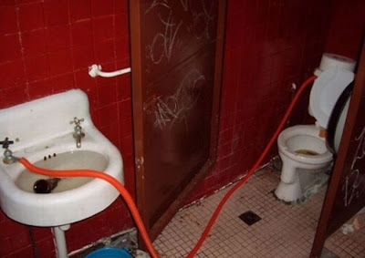 unusual toilets