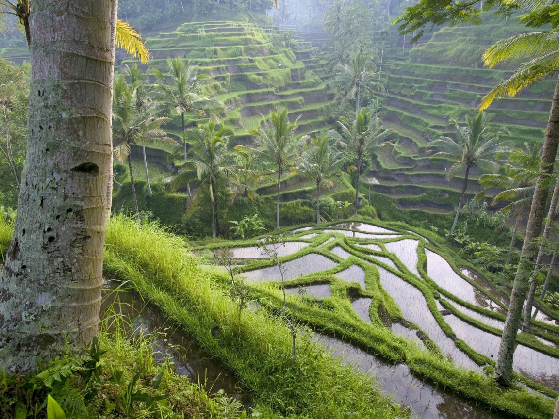  BALI GREAT TRAVEL Ubud Village