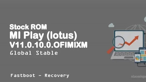 MI Play (lotus) V11.0.10.0.OFIMIXM Global Stable