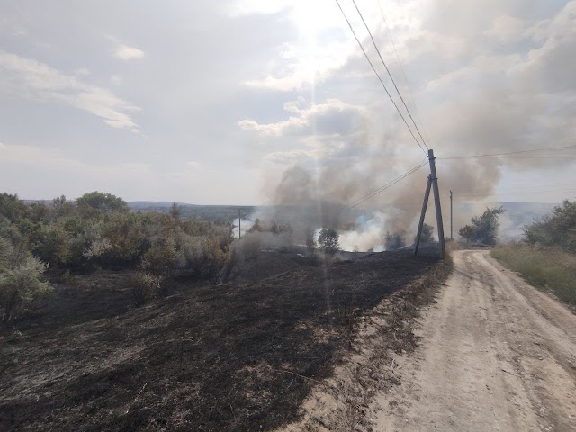 Incendiu de vegetație uscată în orașul Leova 