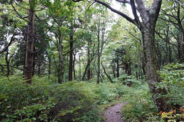 鳥取県西伯郡大山町大山　大山登山道