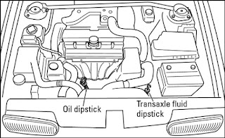 Step-By-Step Guide On Checking Your Oil 