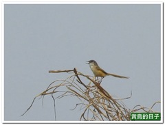 20110421_130906_005_Dhsinhai_3