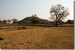 Javadhu3_006