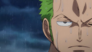 One Piece 第978話 最悪の世代進撃 ネタバレ