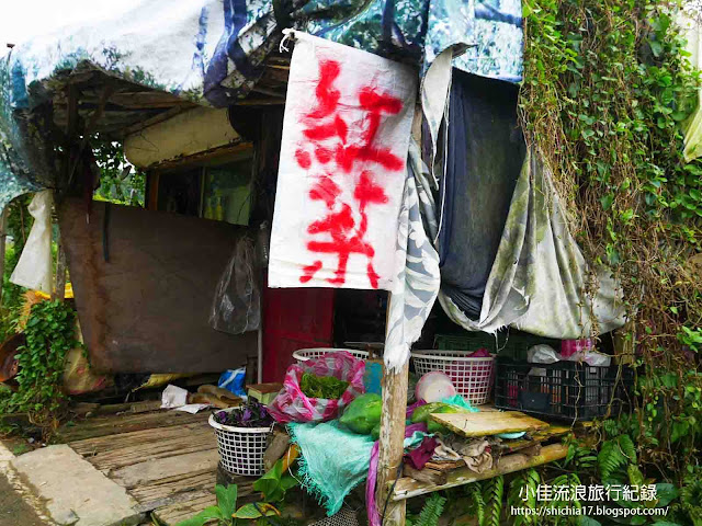 宜蘭景點｜福山植物園申請與路線規劃懶人包！員山鄉紅菜