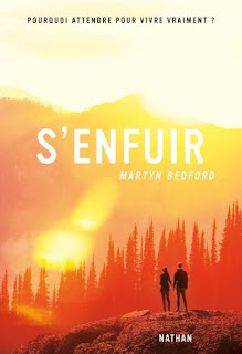 http://lacaverneauxlivresdelaety.blogspot.fr/2016/07/senfuir-de-martyn-bedford.html