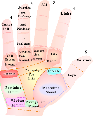 Different Shapes of Fingers and Their Meaning