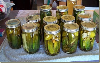 Cropped Pickles