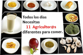 https://agrosentidos.blogspot.com.es/2017/05/todos-dias-necesitas-11-agricultores-comer.html