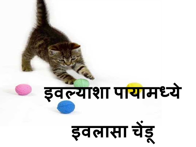 छान छान छान मनीमाऊचं बाळ (मराठी बालगीत) | Kitten Song - Marathi Baalgeet