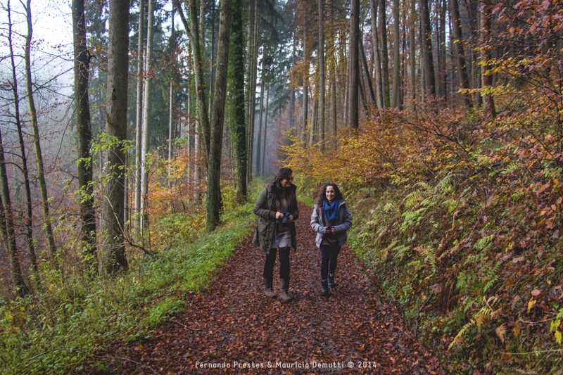 mullerthal trail Luxemburgo