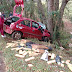 Suspeito foge em carro com drogas, sofre acidente e morre na PR-317, diz PRE