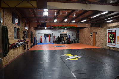 https://www.martialartsdevelopment.com/mixed-martial-arts-classes/