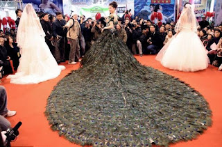 Most Expensive Wedding Dress