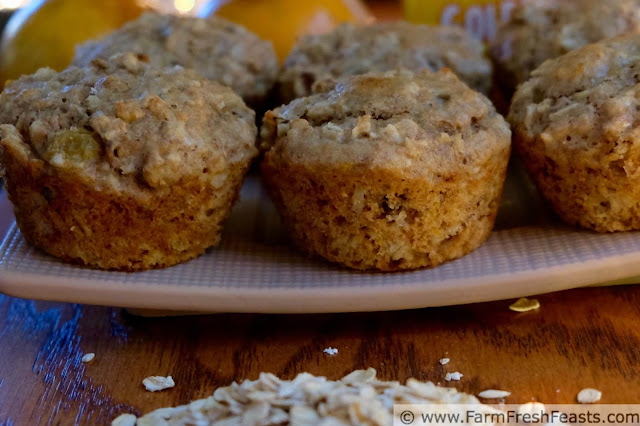 This recipe combines oats, orange juice and raisins with the sweetness of maple syrup plus crunch from coconut and sunflower seeds in a whole grain muffin that is free of refined sugar.