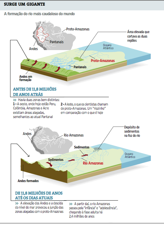 [amazonia.gif]