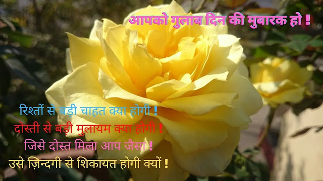 Golden Rose for Valentine's Day