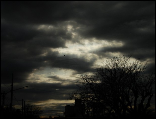 DSC00050 [640x480]