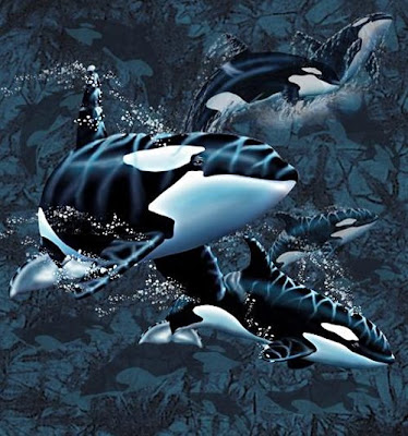 13 Orcas Illusion