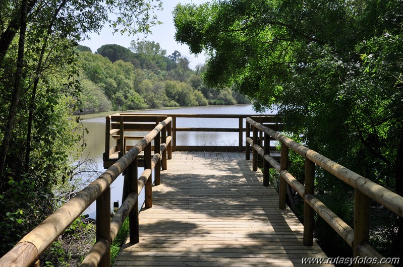 Sendero del Acebron