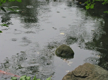 AndersonJapaneseGarden-65-2011-08-7-20-07.jpg