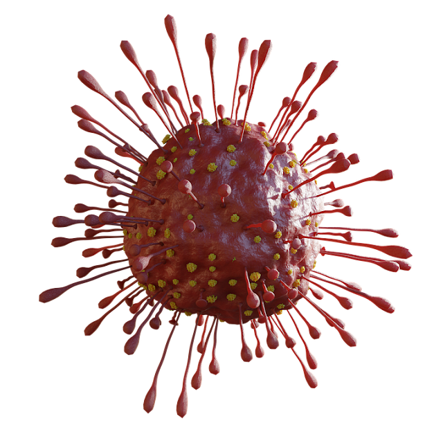 India is fighting strongly against Coronavirus