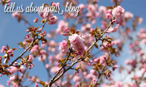 Blog