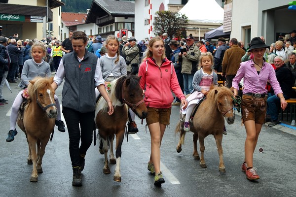 autriche tyrol zillertal zell am ziller almabtrieb