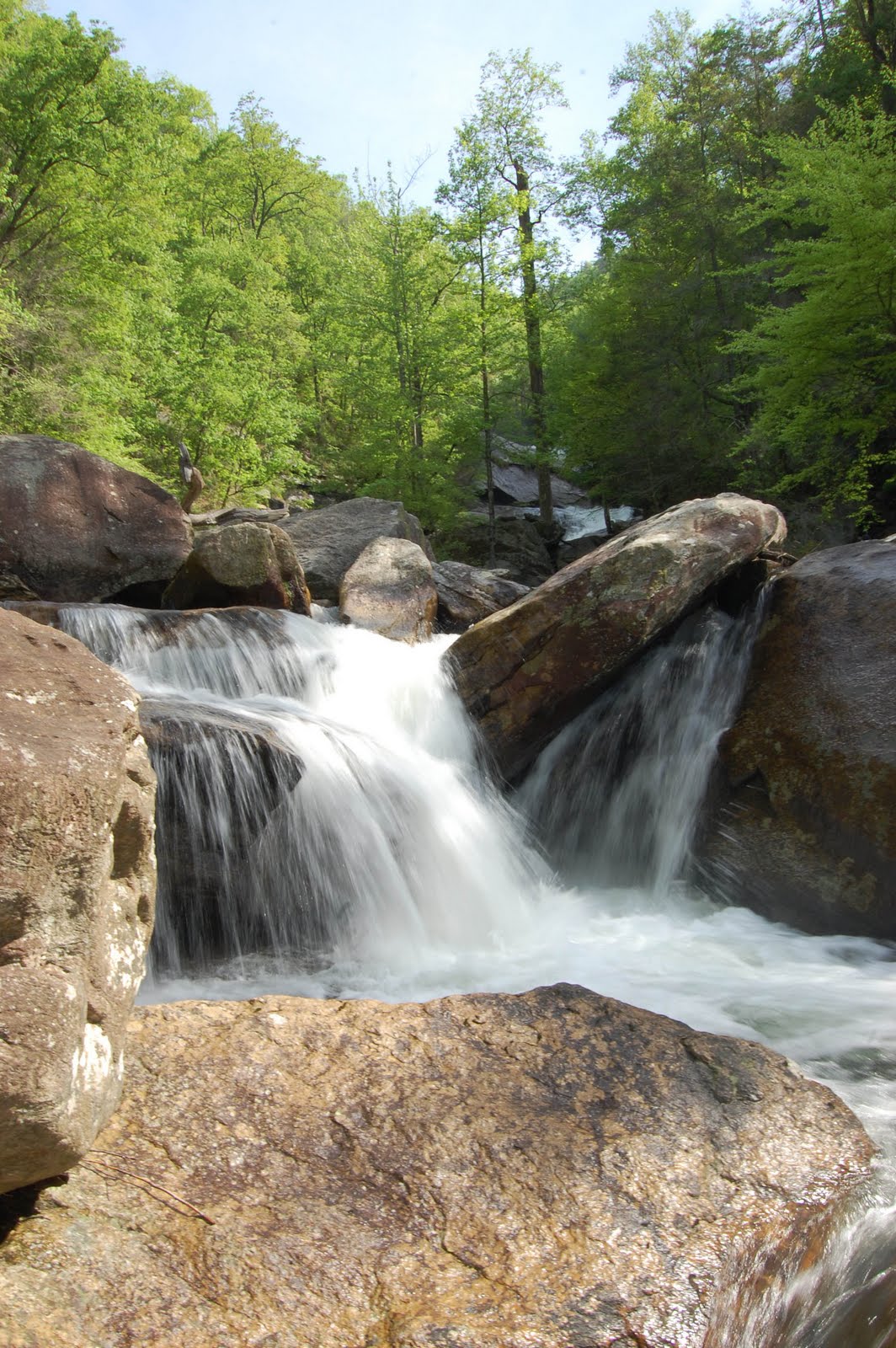 Jillian In Georgia: Devils Fork State Park