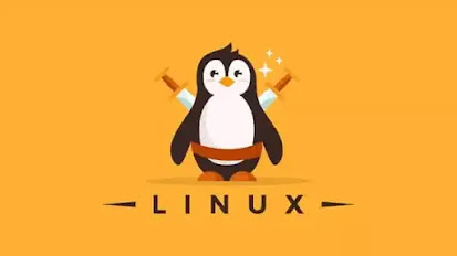 5 Websites to Learn Linux Command Line for FREE