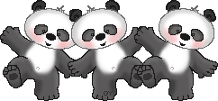 Gif urso panda