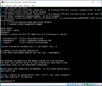 Panduan Install Ubuntu Server 20.05 di Virtual Box