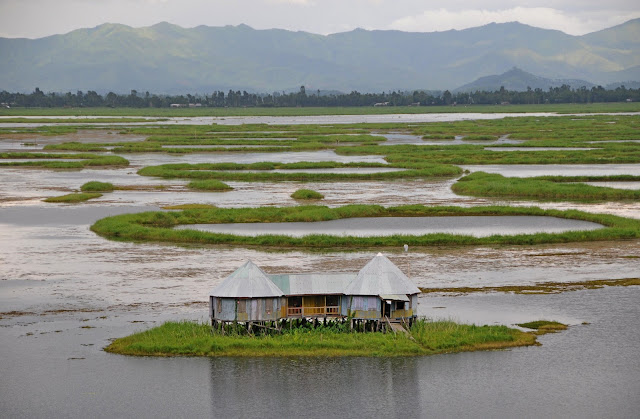 Loktak Lake, Manipur.