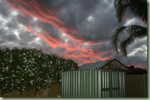 IMG_2580 (Medium)