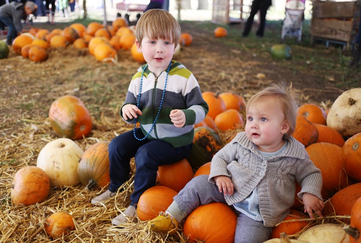 20151010 prairie gardens day (20) edit