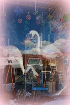 Nature Coast_009